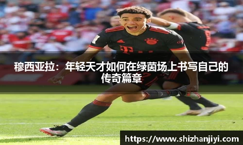 完美体育365官方网站